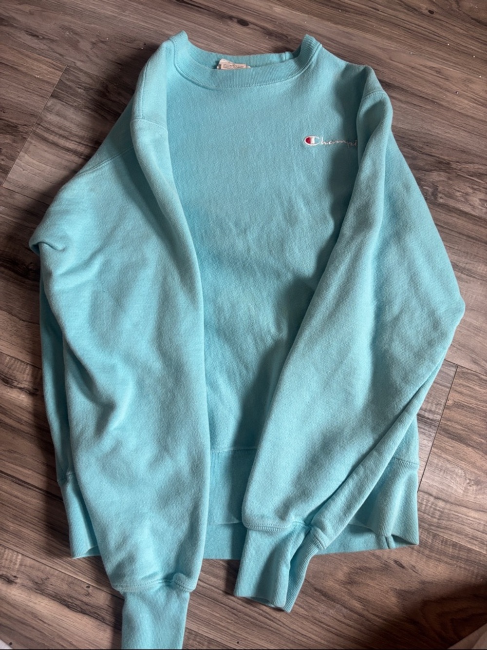 🛍️2 for 20🛍️Champion Aqua Crewneck Sweatshirt